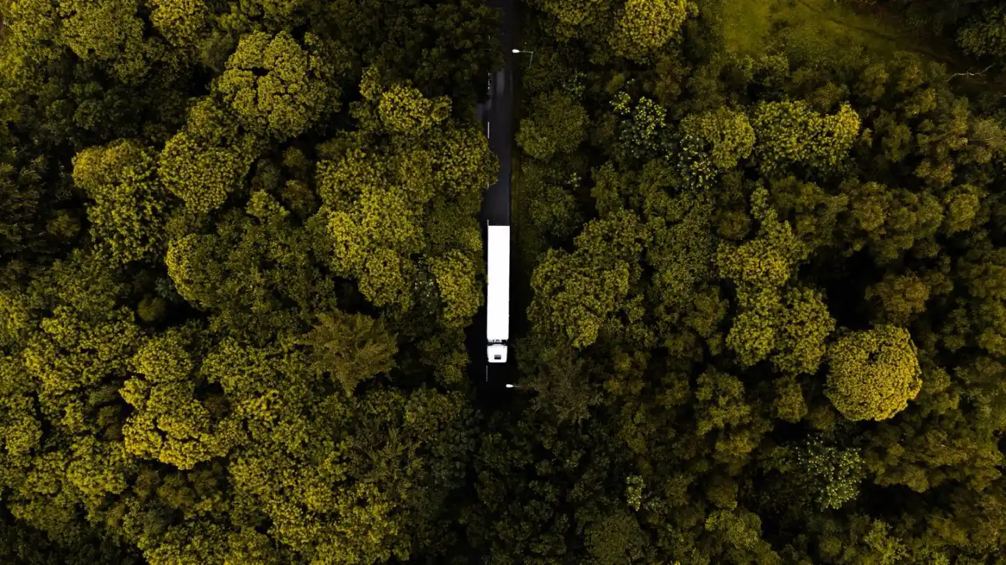 A tractor-trailer on a road through a forest, seen from directly above.